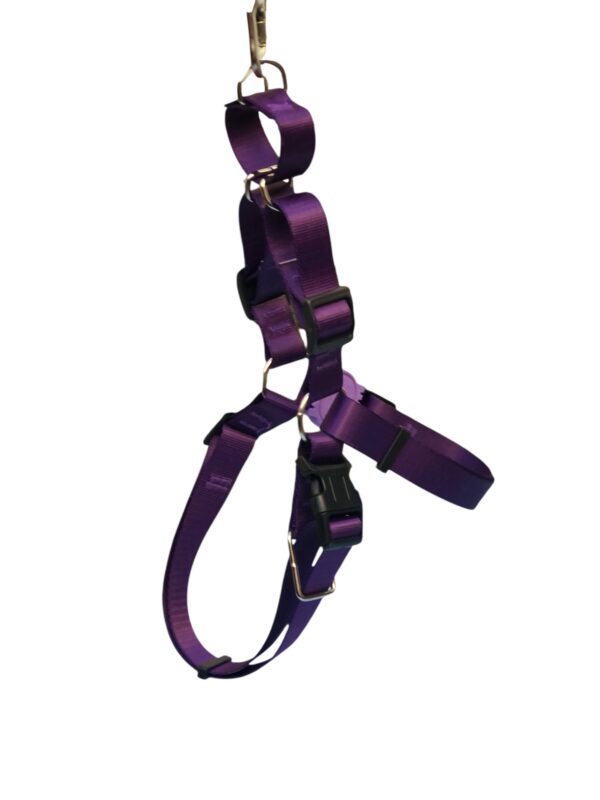 Peitoral Antipuxão + a guia. Roxo. - Imagem 2