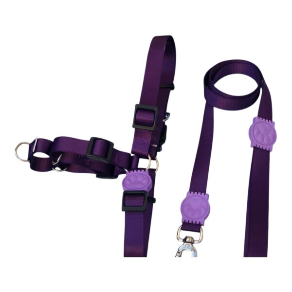 Peitoral Antipuxão + a guia. Roxo. - Imagem 4